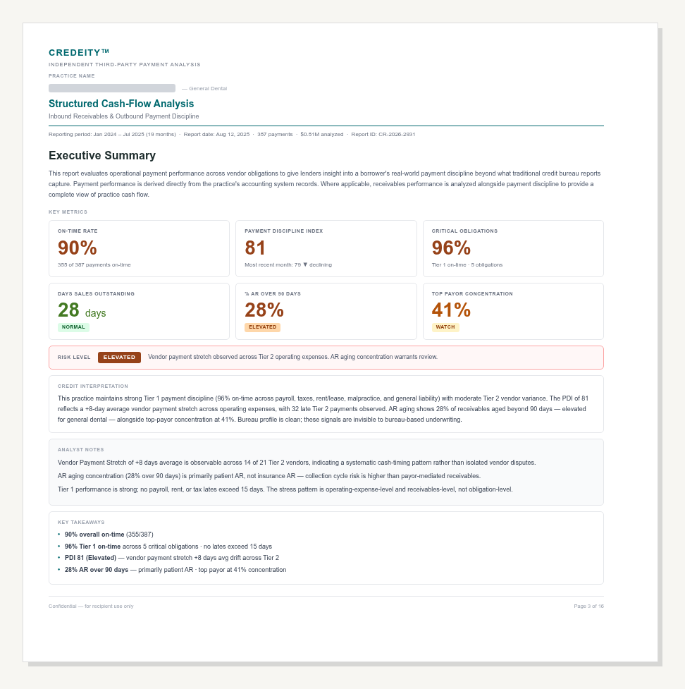 Credeity report executive summary with on-time rate, payment discipline index, and risk indicators